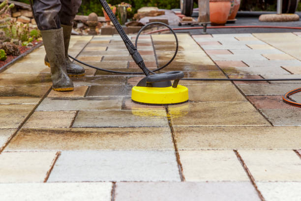 Best Fence Cleaning and Maintenance in Coon Rapids, MN