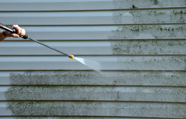 Best Brick and Stone Cleaning in Coon Rapids, MN