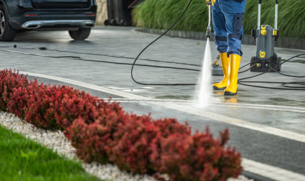 Best Driveway Cleaning and Restoration in Coon Rapids, MN